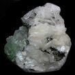 Green Apophyllite Crystals With Stilbite - India #34065-2